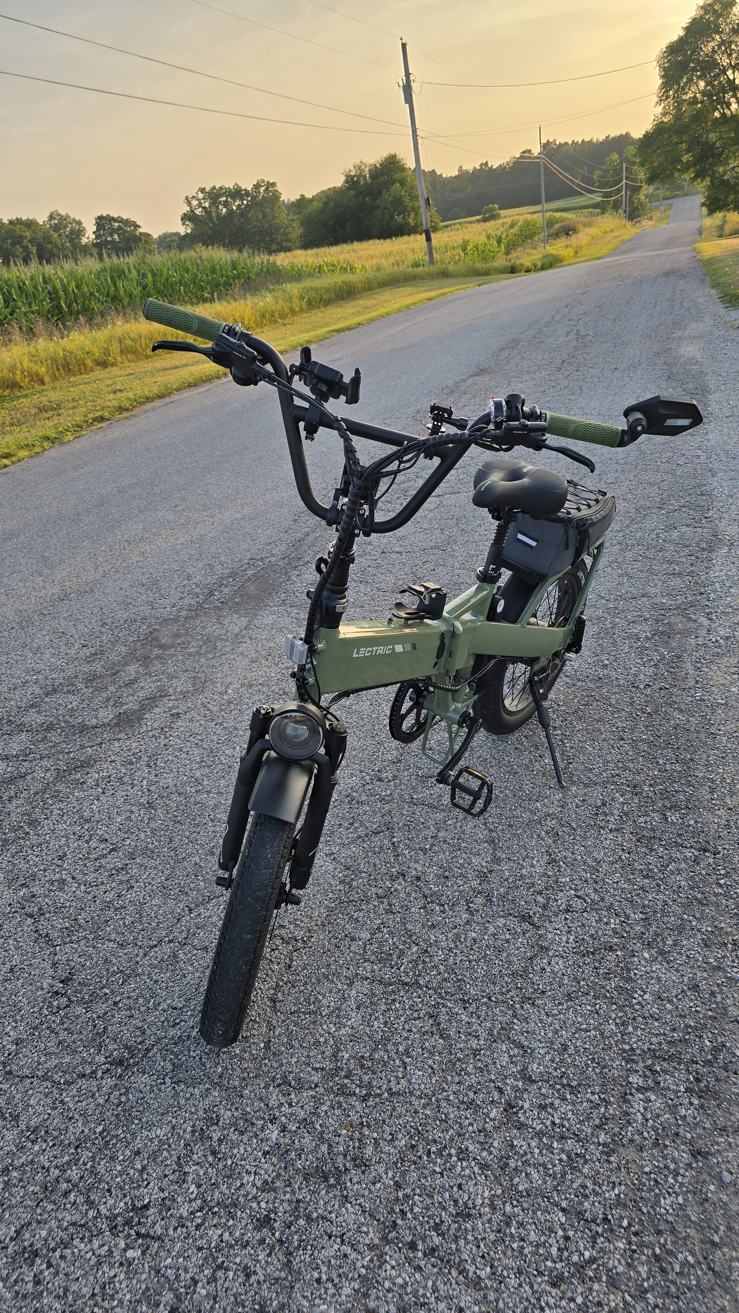 Stems — Store 2 — DavidBrandNew